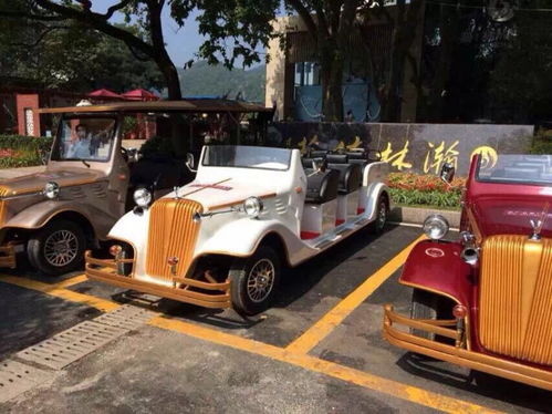 图 租赁二手电动观光车 老爷车 巡逻车 高尔夫车出租报价 成都租车